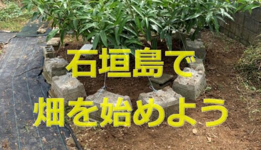 石垣島で無農薬栽Vol.1　荒れた土地をスコップで掘る