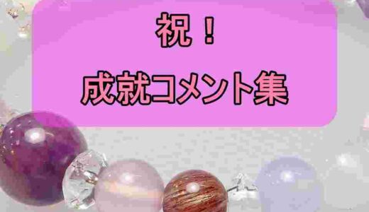 ２０２４年までの成就、達成、気付きの報告集