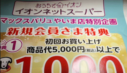 「おうちでイオン」　簡単25％キャッシュバックで島ポイ活をやっちゃおう！